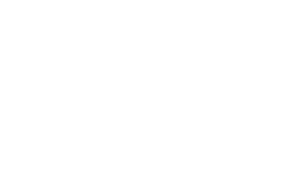 Ernst Logo weiss